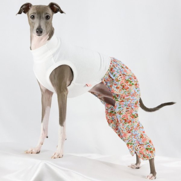 画像23: イタグレ服 S M L XL 2XL 3XL サルエルパンツ もんぺパンツ ロンパース つなぎ 花柄 ゆったり 小型犬 中型犬 大型犬 春夏 doggystar ドッギースター 即日発送出来ます  (23)