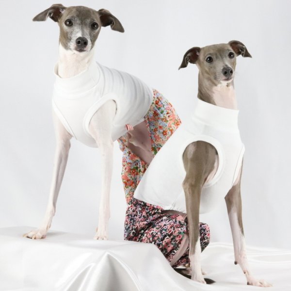 画像22: イタグレ服 S M L XL 2XL 3XL サルエルパンツ もんぺパンツ ロンパース つなぎ 花柄 ゆったり 小型犬 中型犬 大型犬 春夏 doggystar ドッギースター 即日発送出来ます  (22)