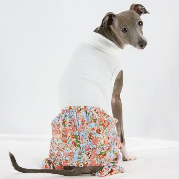 画像24: イタグレ服 S M L XL 2XL 3XL サルエルパンツ もんぺパンツ ロンパース つなぎ 花柄 ゆったり 小型犬 中型犬 大型犬 春夏 doggystar ドッギースター 即日発送出来ます  (24)