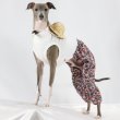 画像25: イタグレ服 S M L XL サルエルパンツ もんぺパンツ ロンパース つなぎ 花柄 ゆったり 小型犬 中型犬 春夏 doggystar 即日発送出来ます  (25)