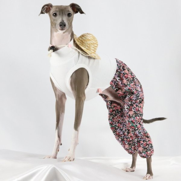 画像26: イタグレ服 S M L XL 2XL 3XL サルエルパンツ もんぺパンツ ロンパース つなぎ 花柄 ゆったり 小型犬 中型犬 大型犬 春夏 doggystar ドッギースター 即日発送出来ます  (26)