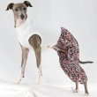 画像24: イタグレ服 S M L XL サルエルパンツ もんぺパンツ ロンパース つなぎ 花柄 ゆったり 小型犬 中型犬 春夏 doggystar 即日発送出来ます  (24)