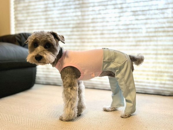 画像15: 犬服  S M L XL 2XL 小型犬 中型犬 大型犬 春夏服 秋冬服 デニム ロンパース つなぎ 伸縮性抜群 doggystar ドッギースター 即日発送致します (15)