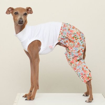 画像2: イタグレ服 S M L XL サルエルパンツ もんぺパンツ ロンパース つなぎ 花柄 ゆったり 小型犬 中型犬 春夏 doggystar 即日発送出来ます 