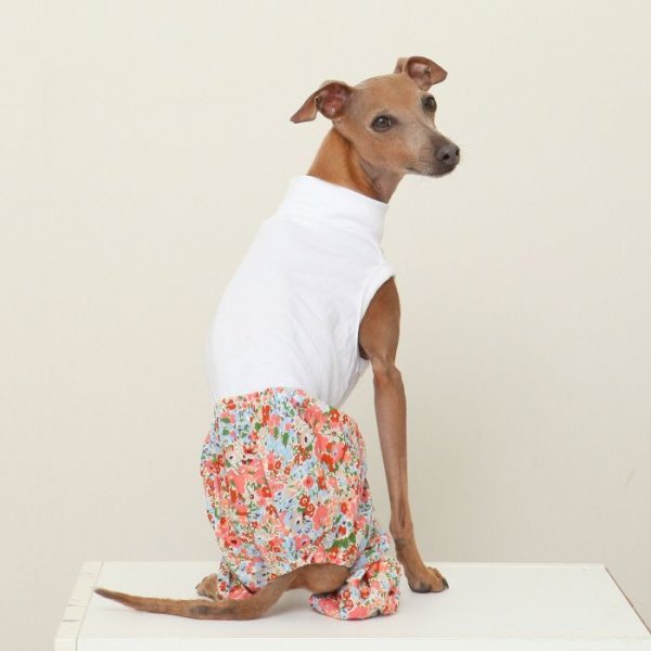 画像17: イタグレ服 S M L XL 2XL 3XL サルエルパンツ もんぺパンツ ロンパース つなぎ 花柄 ゆったり 小型犬 中型犬 大型犬 春夏 doggystar ドッギースター 即日発送出来ます  (17)