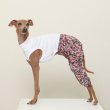 画像1: イタグレ服 S M L XL サルエルパンツ もんぺパンツ ロンパース つなぎ 花柄 ゆったり 小型犬 中型犬 春夏 doggystar 即日発送出来ます  (1)