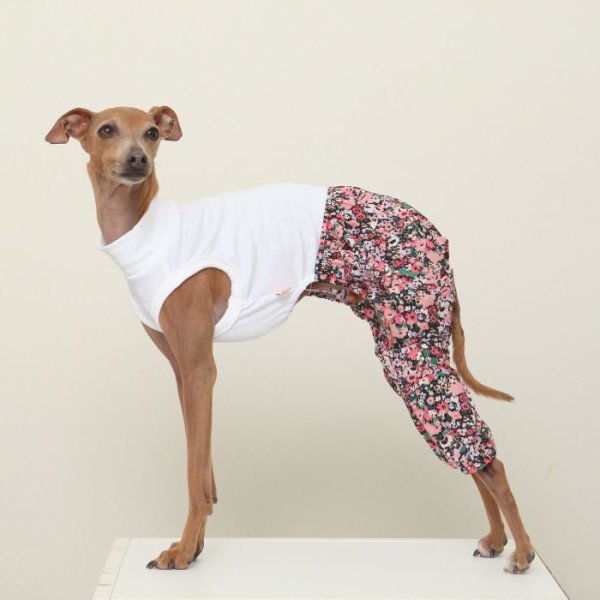画像18: イタグレ服 S M L XL 2XL 3XL サルエルパンツ もんぺパンツ ロンパース つなぎ 花柄 ゆったり 小型犬 中型犬 大型犬 春夏 doggystar ドッギースター 即日発送出来ます  (18)