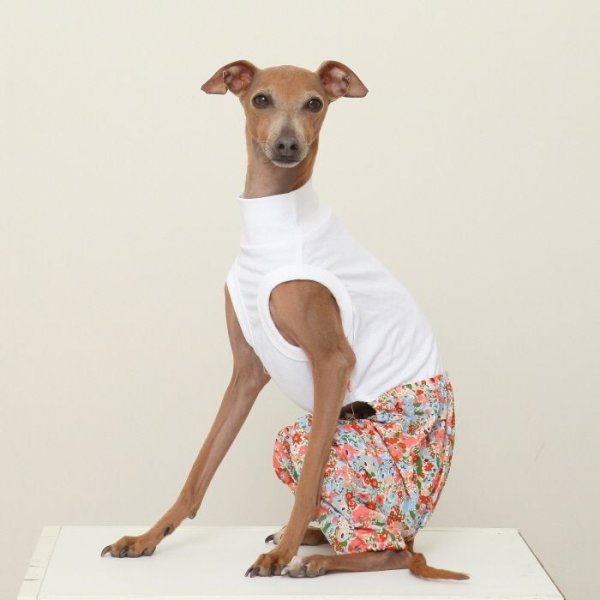 画像16: イタグレ服 S M L XL 2XL 3XL サルエルパンツ もんぺパンツ ロンパース つなぎ 花柄 ゆったり 小型犬 中型犬 大型犬 春夏 doggystar ドッギースター 即日発送出来ます  (16)