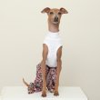 画像19: イタグレ服 S M L XL サルエルパンツ もんぺパンツ ロンパース つなぎ 花柄 ゆったり 小型犬 中型犬 春夏 doggystar 即日発送出来ます  (19)