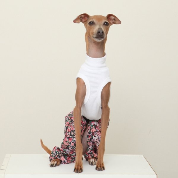 画像20: イタグレ服 S M L XL 2XL 3XL サルエルパンツ もんぺパンツ ロンパース つなぎ 花柄 ゆったり 小型犬 中型犬 大型犬 春夏 doggystar ドッギースター 即日発送出来ます  (20)