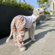 画像30: イタグレ服 S M L XL サルエルパンツ もんぺパンツ ロンパース つなぎ 花柄 ゆったり 小型犬 中型犬 春夏 doggystar 即日発送出来ます  (30)