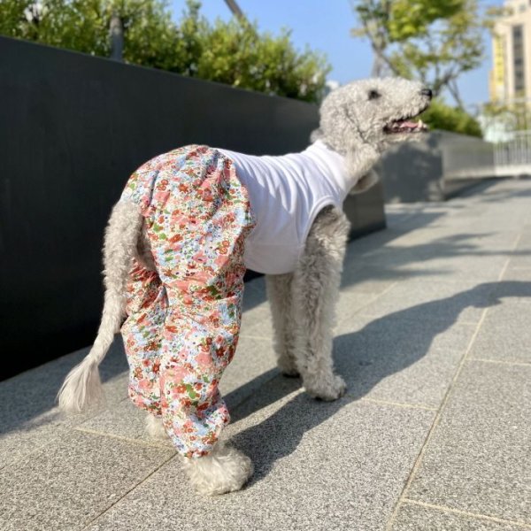 画像31: イタグレ服 S M L XL 2XL 3XL サルエルパンツ もんぺパンツ ロンパース つなぎ 花柄 ゆったり 小型犬 中型犬 大型犬 春夏 doggystar ドッギースター 即日発送出来ます  (31)