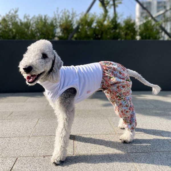 画像30: イタグレ服 S M L XL 2XL 3XL サルエルパンツ もんぺパンツ ロンパース つなぎ 花柄 ゆったり 小型犬 中型犬 大型犬 春夏 doggystar ドッギースター 即日発送出来ます  (30)