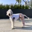 画像31: イタグレ服 S M L XL サルエルパンツ もんぺパンツ ロンパース つなぎ 花柄 ゆったり 小型犬 中型犬 春夏 doggystar 即日発送出来ます  (31)