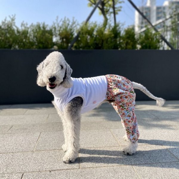 画像32: イタグレ服 S M L XL 2XL 3XL サルエルパンツ もんぺパンツ ロンパース つなぎ 花柄 ゆったり 小型犬 中型犬 大型犬 春夏 doggystar ドッギースター 即日発送出来ます  (32)