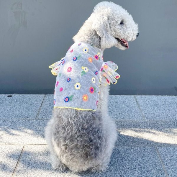 画像38: イタグレ服 S M L XL 2XL 3XL シースルー 花柄 刺繍 チュール フリル ブラウス 小型犬 中型犬 大型犬 春夏 doggystar ドッギースター 即日発送出来ます。 (38)