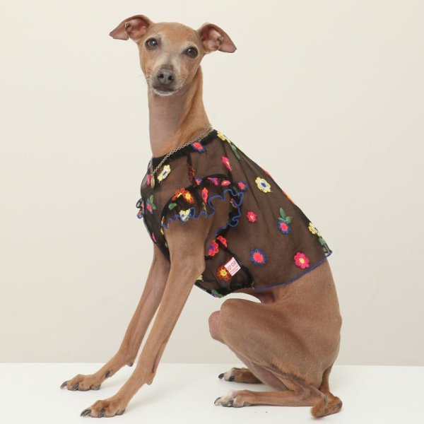 画像21: イタグレ服 S M L XL 2XL 3XL シースルー 花柄 刺繍 チュール フリル ブラウス 小型犬 中型犬 大型犬 春夏 doggystar ドッギースター 即日発送出来ます。 (21)