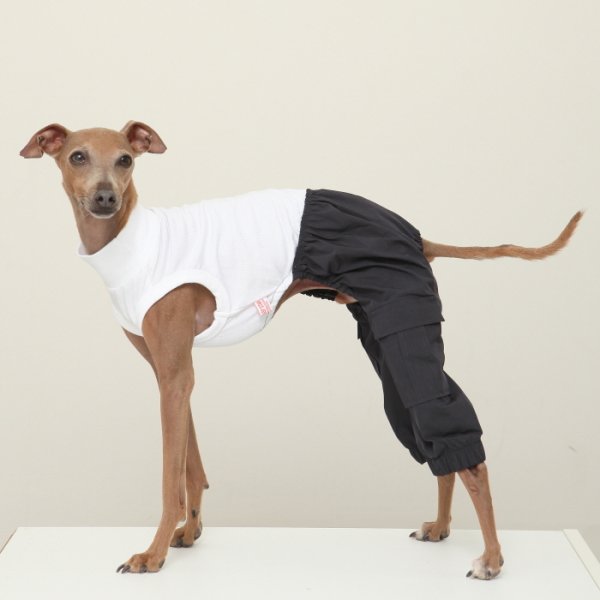 画像11: イタグレ服 S M L XL 2XL 3XL カーゴパンツ ロンパース つなぎ パラシュートパンツ ワイドパンツ ゆったり 小型犬 中型犬 大型犬 春夏秋冬 doggystar ドッギースター 即日発送出来ます (11)