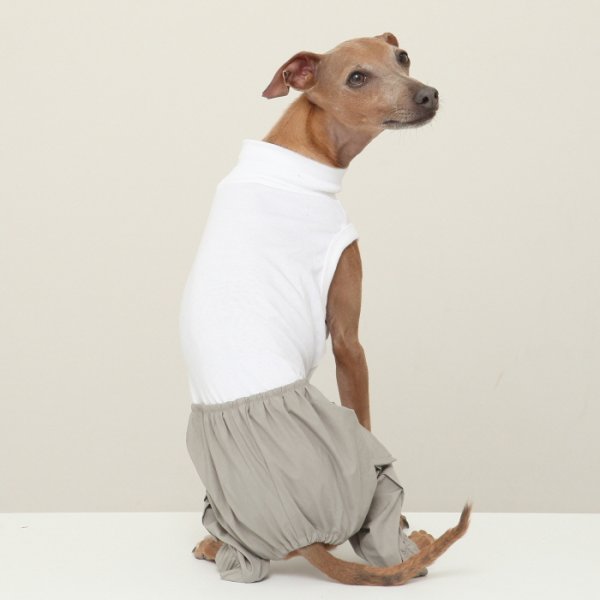 画像21: イタグレ服 S M L XL 2XL 3XL カーゴパンツ ロンパース つなぎ パラシュートパンツ ワイドパンツ ゆったり 小型犬 中型犬 大型犬 春夏秋冬 doggystar ドッギースター 即日発送出来ます (21)