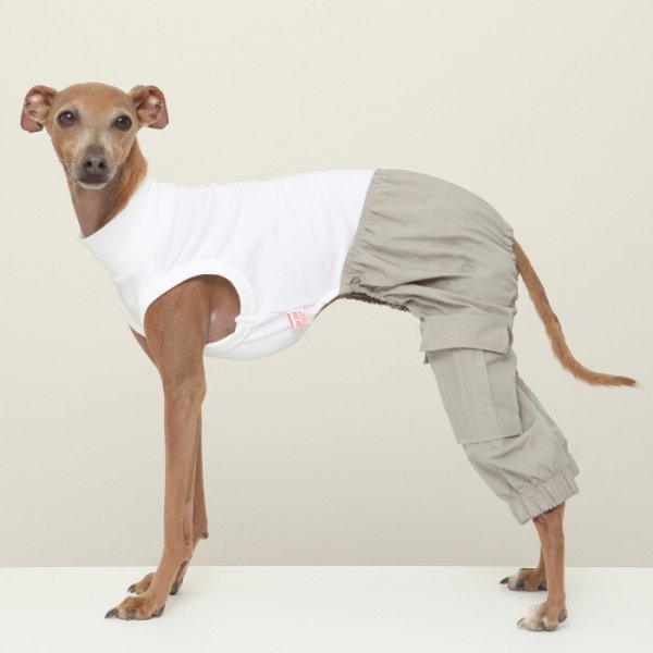 画像3: イタグレ服 S M L XL 2XL 3XL カーゴパンツ ロンパース つなぎ パラシュートパンツ ワイドパンツ ゆったり 小型犬 中型犬 大型犬 春夏秋冬 doggystar ドッギースター 即日発送出来ます (3)