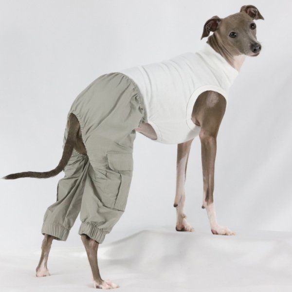画像24: イタグレ服 S M L XL 2XL 3XL カーゴパンツ ロンパース つなぎ パラシュートパンツ ワイドパンツ ゆったり 小型犬 中型犬 大型犬 春夏秋冬 doggystar ドッギースター 即日発送出来ます (24)