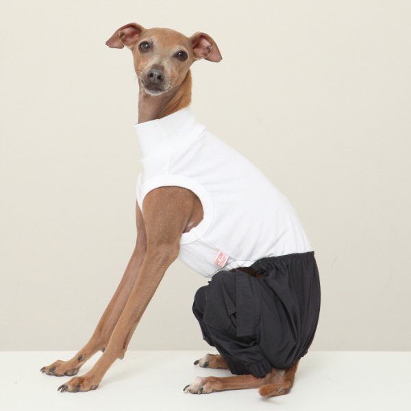 画像22: イタグレ服 S M L XL 2XL 3XL カーゴパンツ ロンパース つなぎ パラシュートパンツ ワイドパンツ ゆったり 小型犬 中型犬 大型犬 春夏秋冬 doggystar ドッギースター 即日発送出来ます (22)