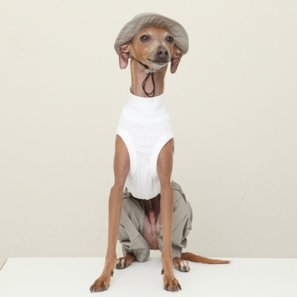 画像11: イタグレ帽子 S M L 小型犬 中型犬 春夏秋冬 バケットハット（服は含まれません）doggystar ドッギースター即日発送致します (11)