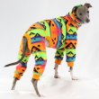 画像9: イタグレ服 S M L XL 2XL 3XL 小型犬 中型犬 大型犬 秋冬 ネイティブ柄 迷彩柄 フリース ロンパース doggystar ドッギースター 即日発送出来ます (9)