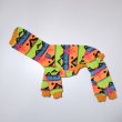 画像3: イタグレ服 S M L XL 2XL 3XL 小型犬 中型犬 大型犬 秋冬 ネイティブ柄 迷彩柄 フリース ロンパース doggystar ドッギースター 即日発送出来ます (3)