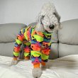 画像12: イタグレ服 S M L XL 2XL 3XL 小型犬 中型犬 大型犬 秋冬 ネイティブ柄 迷彩柄 フリース ロンパース doggystar ドッギースター 即日発送出来ます (12)