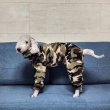 画像47: イタグレ服 S M L XL 2XL 3XL 小型犬 中型犬 大型犬 秋冬 ネイティブ柄 迷彩柄 フリース ロンパース doggystar ドッギースター 即日発送出来ます (47)