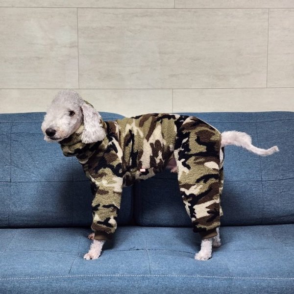 画像47: イタグレ服 S M L XL 2XL 3XL 小型犬 中型犬 大型犬 秋冬 ネイティブ柄 迷彩柄 フリース ロンパース doggystar ドッギースター 即日発送出来ます (47)