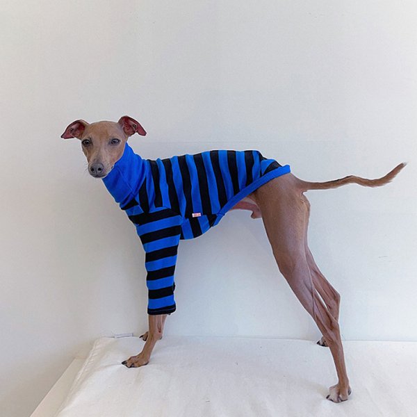 画像22: イタグレ 服 S M L XL 2XL 3XL カラフル 長袖ボーダーTシャツ 小型 犬 中型犬 大型犬 春 夏 秋 冬 doggystar ドッギースター 室内着 パジャマ 即日発送出来ます (22)