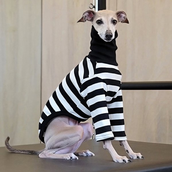 画像24: イタグレ 服 S M L XL 2XL 3XL カラフル 長袖ボーダーTシャツ 小型 犬 中型犬 大型犬 春 夏 秋 冬 doggystar ドッギースター 室内着 パジャマ 即日発送出来ます (24)