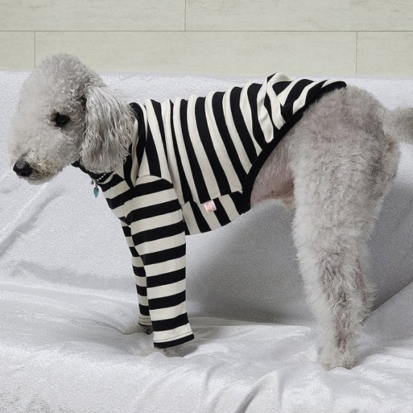 画像27: イタグレ 服 S M L XL 2XL 3XL カラフル 長袖ボーダーTシャツ 小型 犬 中型犬 大型犬 春 夏 秋 冬 doggystar ドッギースター 室内着 パジャマ 即日発送出来ます (27)