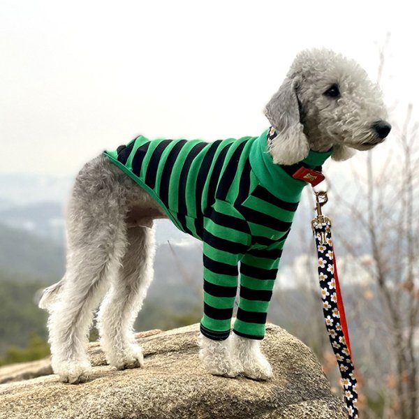 画像25: イタグレ 服 S M L XL 2XL 3XL カラフル 長袖ボーダーTシャツ 小型 犬 中型犬 大型犬 春 夏 秋 冬 doggystar ドッギースター 室内着 パジャマ 即日発送出来ます (25)