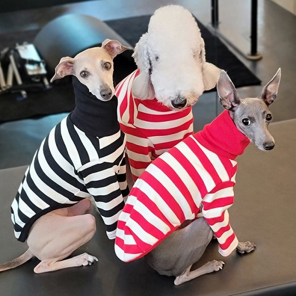 画像26: イタグレ 服 S M L XL 2XL 3XL カラフル 長袖ボーダーTシャツ 小型 犬 中型犬 大型犬 春 夏 秋 冬 doggystar ドッギースター 室内着 パジャマ 即日発送出来ます (26)