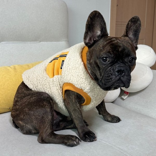 画像9: フレブル 服 フレンチブルドッグ  ポケット ボア 袖なし Tシャツ 冬 L XL 2XL 3XL 4XL 5XL イングリッシュブルドッグ  パグ ペット服 犬服 フレブル  即日発送出来ます (9)