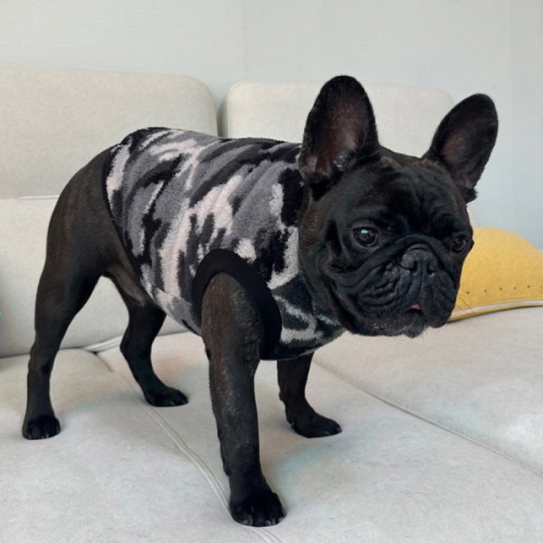 画像42: フレブル 服 フレンチブルドッグ  フリース 柄 袖なし Tシャツ 冬 L XL 2XL 3XL 4XL 5XL イングリッシュブルドッグ  パグ ペット服 犬服 フレブル  即日発送出来ます (42)