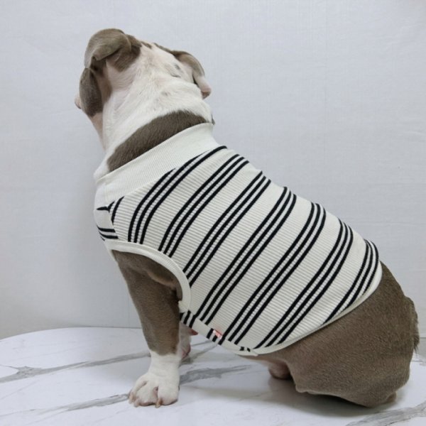 画像12: フレブル 服 フレンチブルドッグ  ボーダー袖なし Tシャツ 春夏秋冬 L XL 2XL 3XL 4XL 5XL イングリッシュブルドッグ  パグ ペット服 犬服 フレブル  即日発送出来ます (12)