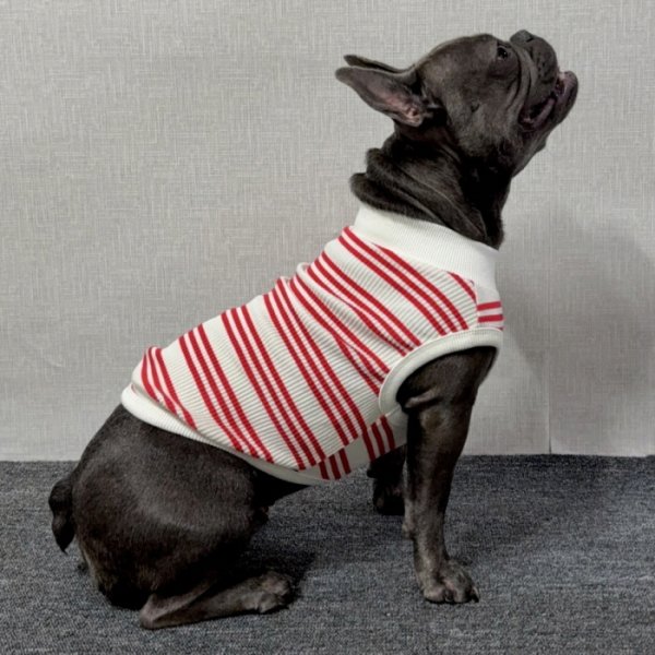 画像22: フレブル 服 フレンチブルドッグ  ボーダー袖なし Tシャツ 春夏秋冬 L XL 2XL 3XL 4XL 5XL イングリッシュブルドッグ  パグ ペット服 犬服 フレブル  即日発送出来ます (22)