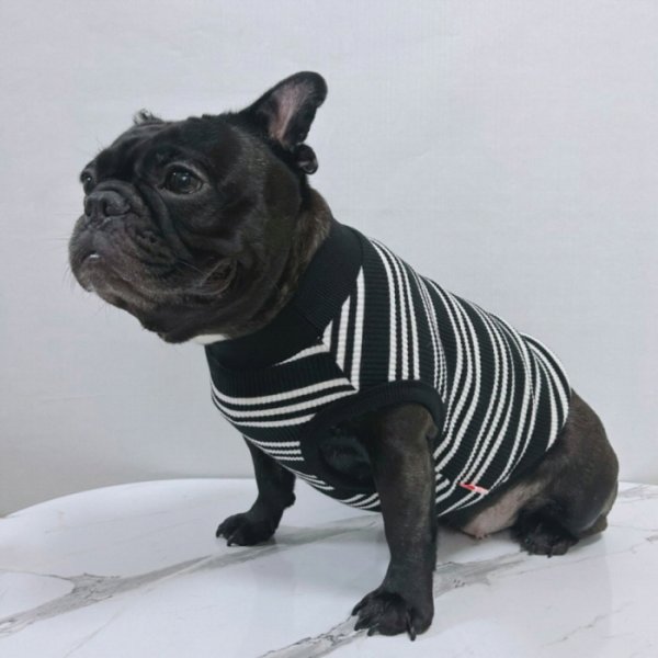 画像35: フレブル 服 フレンチブルドッグ  ボーダー袖なし Tシャツ 春夏秋冬 L XL 2XL 3XL 4XL 5XL イングリッシュブルドッグ  パグ ペット服 犬服 フレブル  即日発送出来ます (35)