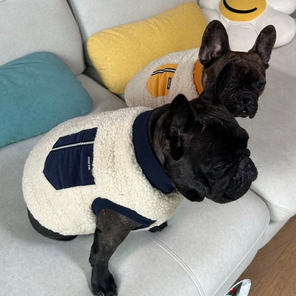 画像20: フレブル 服 フレンチブルドッグ  ポケット ボア 袖なし Tシャツ 冬 L XL 2XL 3XL 4XL 5XL イングリッシュブルドッグ  パグ ペット服 犬服 フレブル  即日発送出来ます (20)