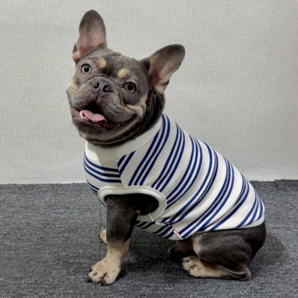 画像46: フレブル 服 フレンチブルドッグ  ボーダー袖なし Tシャツ 春夏秋冬 L XL 2XL 3XL 4XL 5XL イングリッシュブルドッグ  パグ ペット服 犬服 フレブル  即日発送出来ます (46)