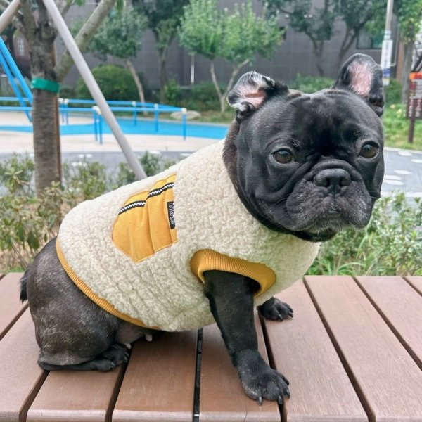 画像7: フレブル 服 フレンチブルドッグ  ポケット ボア 袖なし Tシャツ 冬 L XL 2XL 3XL 4XL 5XL イングリッシュブルドッグ  パグ ペット服 犬服 フレブル  即日発送出来ます (7)