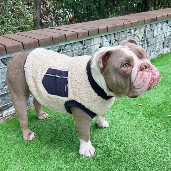 画像22: フレブル 服 フレンチブルドッグ  ポケット ボア 袖なし Tシャツ 冬 L XL 2XL 3XL 4XL 5XL イングリッシュブルドッグ  パグ ペット服 犬服 フレブル  即日発送出来ます (22)