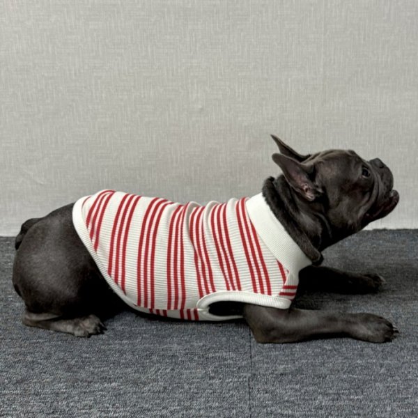 画像23: フレブル 服 フレンチブルドッグ  ボーダー袖なし Tシャツ 春夏秋冬 L XL 2XL 3XL 4XL 5XL イングリッシュブルドッグ  パグ ペット服 犬服 フレブル  即日発送出来ます (23)
