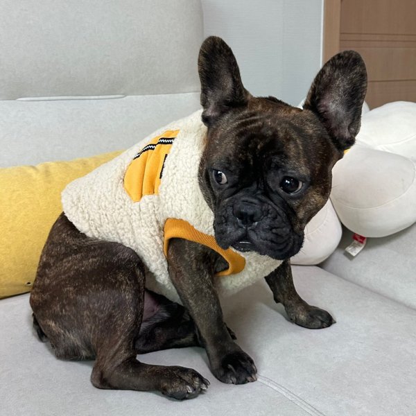 画像8: フレブル 服 フレンチブルドッグ  ポケット ボア 袖なし Tシャツ 冬 L XL 2XL 3XL 4XL 5XL イングリッシュブルドッグ  パグ ペット服 犬服 フレブル  即日発送出来ます (8)