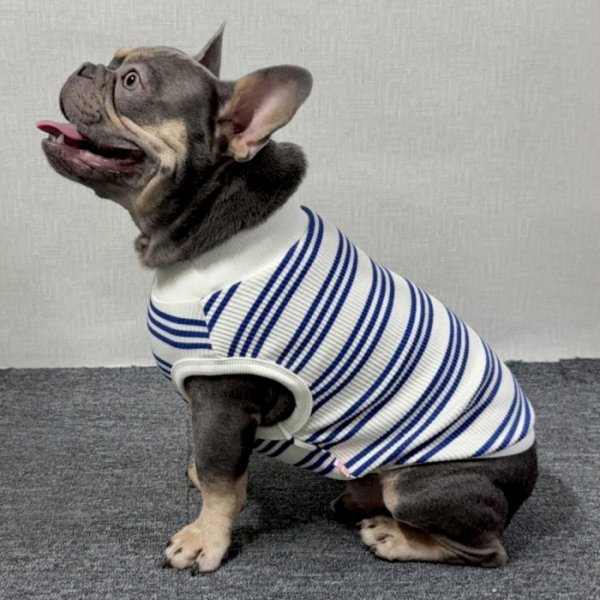 画像47: フレブル 服 フレンチブルドッグ  ボーダー袖なし Tシャツ 春夏秋冬 L XL 2XL 3XL 4XL 5XL イングリッシュブルドッグ  パグ ペット服 犬服 フレブル  即日発送出来ます (47)