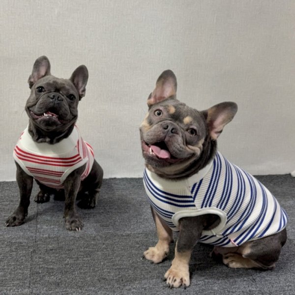 画像48: フレブル 服 フレンチブルドッグ  ボーダー袖なし Tシャツ 春夏秋冬 L XL 2XL 3XL 4XL 5XL イングリッシュブルドッグ  パグ ペット服 犬服 フレブル  即日発送出来ます (48)